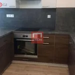 Pronajměte si 2 ložnic/e byt o rozloze 603 m² v Olomouc