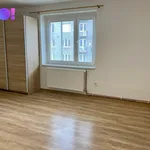 Rent 1 bedroom apartment in Jihlava