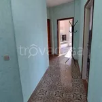 Rent 4 bedroom apartment of 81 m² in Avigliano Umbro