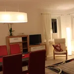 Rent 2 bedroom apartment of 43 m² in Dresden