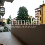 Rent 4 bedroom apartment of 98 m² in Bologna