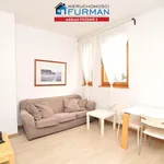 Rent 4 bedroom apartment of 54 m² in Poznan