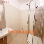 Rent 2 bedroom apartment of 41 m² in Havířov