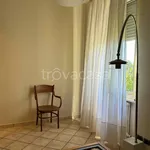 Rent 3 bedroom apartment of 100 m² in Torino