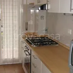 Rent 3 bedroom apartment of 74 m² in Roma