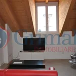 Rent 3 bedroom apartment of 107 m² in Monza