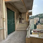 Rent 3 bedroom apartment of 82 m² in Genova