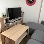 Rent 1 bedroom apartment in Praha 5