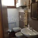 Rent 2 bedroom apartment of 55 m² in Padova