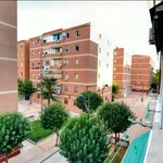 Rent a room in madrid