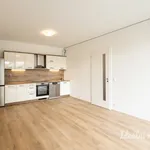 Pronajměte si 3 ložnic/e byt o rozloze 59 m² v Prague