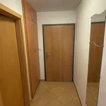 Rent 1 bedroom apartment in Brno