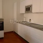 Rent 2 bedroom apartment of 54 m² in Padova