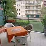 Rent a room of 260 m² in milan