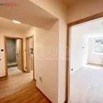 Rent 2 bedroom apartment of 51 m² in Praha