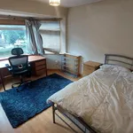 Rent 5 bedroom house in Belfast