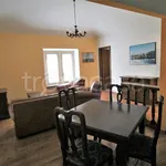 Rent 2 bedroom apartment of 54 m² in Torino