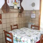 Rent 3 bedroom apartment of 70 m² in Follonica