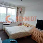 Pronájem bytu 1+1 39m²