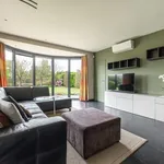 Rent 4 bedroom house of 1036 m² in Hoogstraten