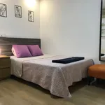 Rent 4 bedroom apartment in Madrid