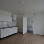 Rent 1 bedroom apartment in Sittard