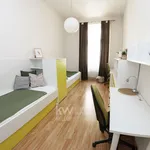 Rent 1 bedroom apartment of 55 m² in Brno