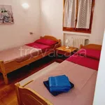 Rent 2 bedroom apartment of 50 m² in Golfo Aranci