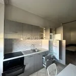 Rent 1 bedroom apartment of 35 m² in Torino