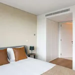 Rent 1 bedroom apartment in lisbon