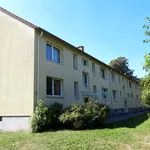 Miete 3 Schlafzimmer wohnung von 50 m² in Gelsenkirchen