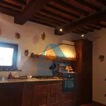 Rent 5 bedroom apartment of 110 m² in Pisa