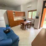 Rent 2 bedroom apartment of 40 m² in Catanzaro