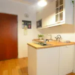 Rent 1 bedroom apartment in Milan