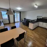 Rent 3 bedroom apartment of 282 m² in Ostrava