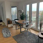 Rent 1 bedroom apartment of 34 m² in Munich