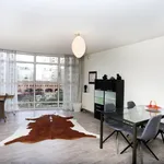 Rent 3 bedroom apartment of 90 m² in Belgisch Park