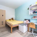 Rent 3 bedroom apartment in Capital City of Prague