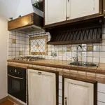 Rent 3 bedroom apartment of 60 m² in Firenze