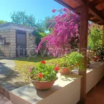 Rent 3 bedroom house of 60 m² in Squillace