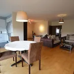 Rent 2 bedroom apartment in Antwerp