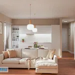 Rent 2 bedroom apartment of 60 m² in Turin