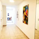 Rent 1 bedroom apartment in Wien