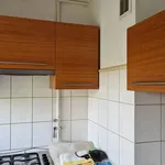 Rent 2 bedroom apartment of 40 m² in Łódź