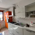 Rent 2 bedroom apartment of 75 m² in Torino