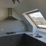 Rent 2 bedroom apartment in KAPRIJKE