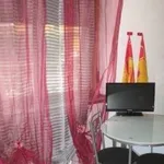 Rent 1 bedroom apartment of 20 m² in Verona