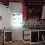 Rent 3 bedroom apartment of 70 m² in Pisa