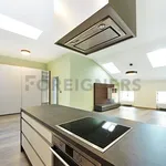 Rent 1 bedroom apartment of 64 m² in Brno