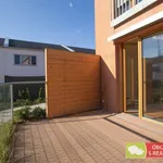 Rent 10 bedroom apartment of 38 m² in Prague